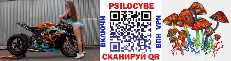 Псилоцибиновые грибы GOLDEN TEACHER  наркота  Катав-Ивановск 
